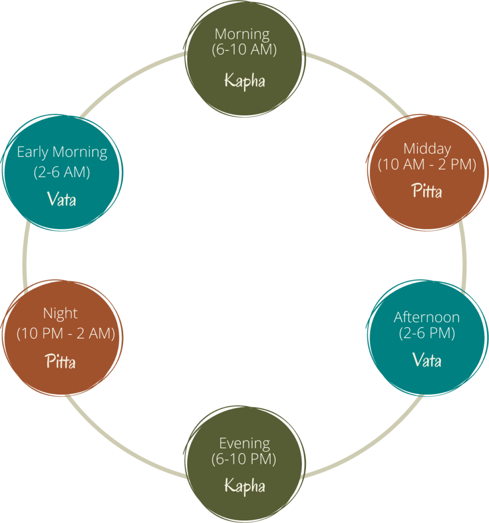 daily cycle of Vata Pitta Kapha