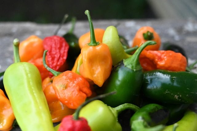 colourful chillies